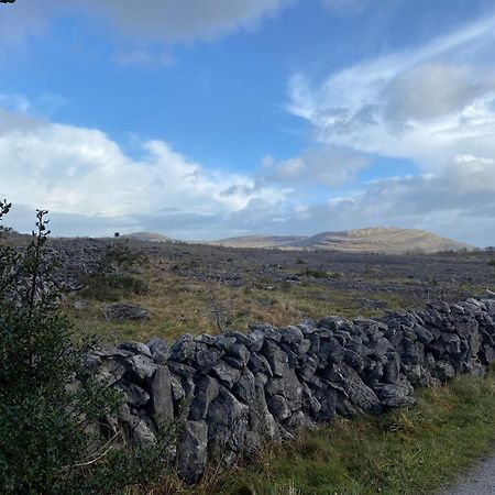 Burren Garden Glamping Hut Villa Boston Exteriör bild
