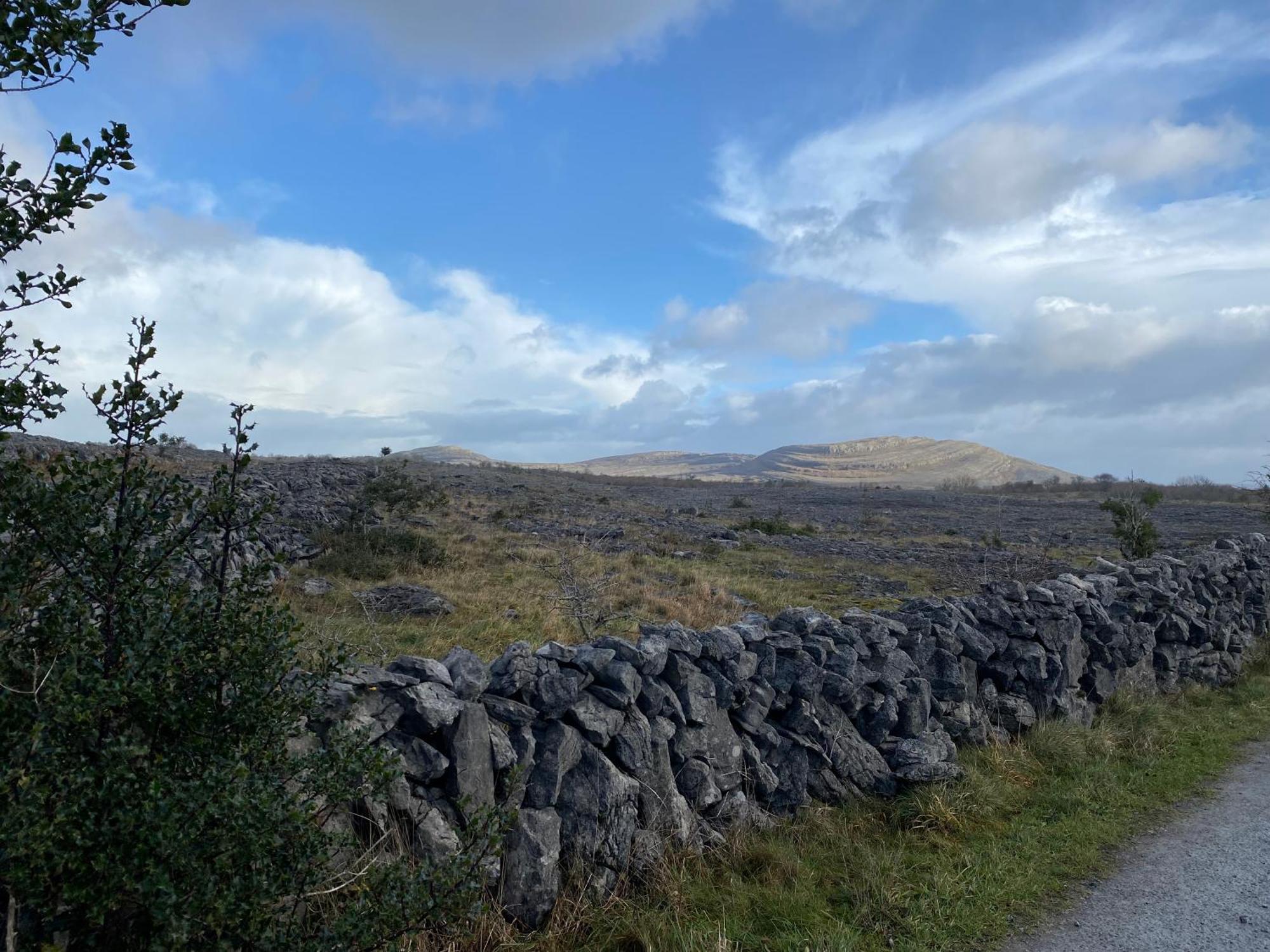 Burren Garden Glamping Hut Villa Boston Exteriör bild